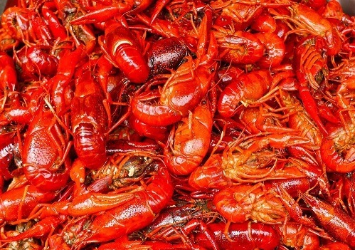 夹克的虾加盟优势 夹克的虾加盟优势