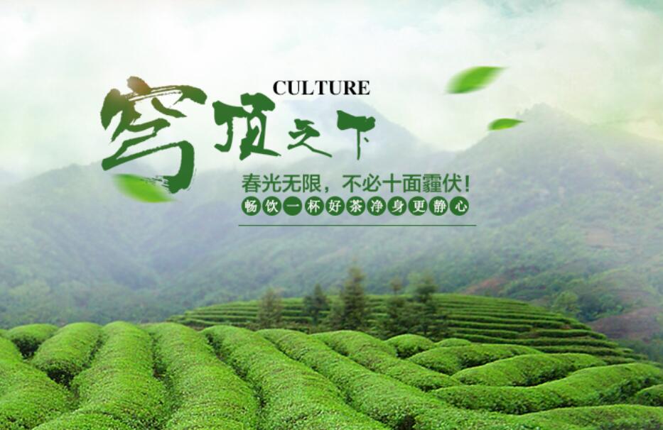 神农茶叶加盟 神农茶叶加盟