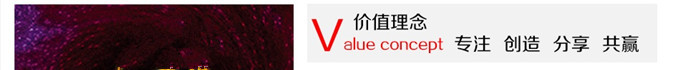 越龙家纺加盟 越龙家纺加盟